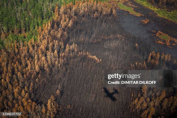 This aerial picture taken on July 27 shows the shadow of an aircraft of the Air Forest Protection Service flying over a burned forest in the republic...