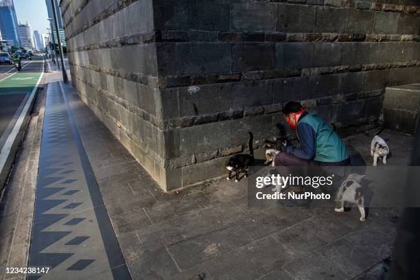 Man feeds the cats on the main street during the imposition of COVID-19 restrictions in Jakarta on 27 July 2021. Jakarta governor Anies Baswedan on...