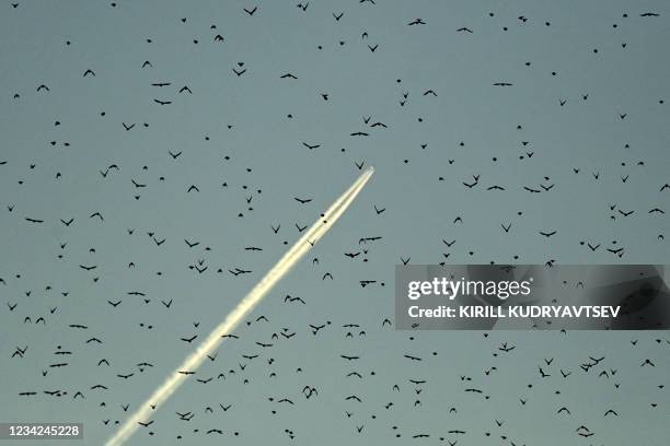 Flock of birds is pictured in front of an aircraft contrail over Moscow on July 27, 2021 at sunset.