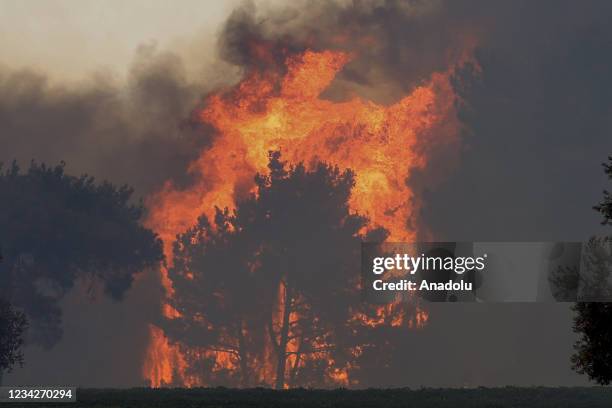 View of the forest fire that broke out in Manavgat district of Turkey's Antalya on July 28, 2021. Ground and air support works to extinguish the fire...