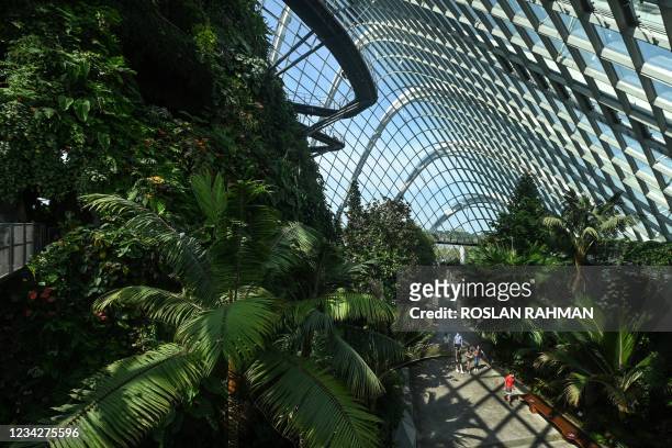 This photograph taken on July 26, 2021 shows a view inside the Cloud Forest at Gardens by the Bay in Singapore. - Green spaces have also been shown...