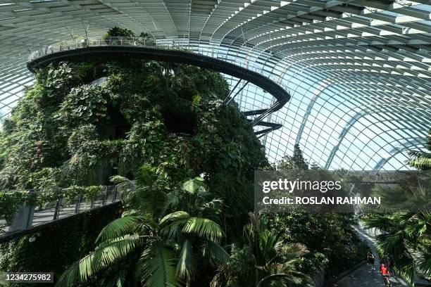 This photograph taken on July 26, 2021 shows a view inside the Cloud Forest at Gardens by the Bay in Singapore. - Green spaces have also been shown...