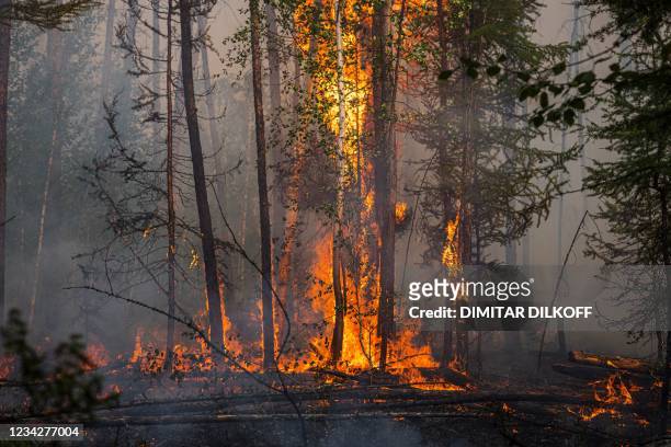 This photograph taken on July 26 shows a forest fire outside the village of Byas-Kyuel. - Fuelled by a June heatwave, wildfires have swept through...
