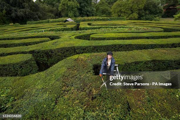 43 Hampton Court Palace Maze Stock Photos High Res Pictures and 43 Hampton Court Palace Maze Stock Photos High Res Pictures and