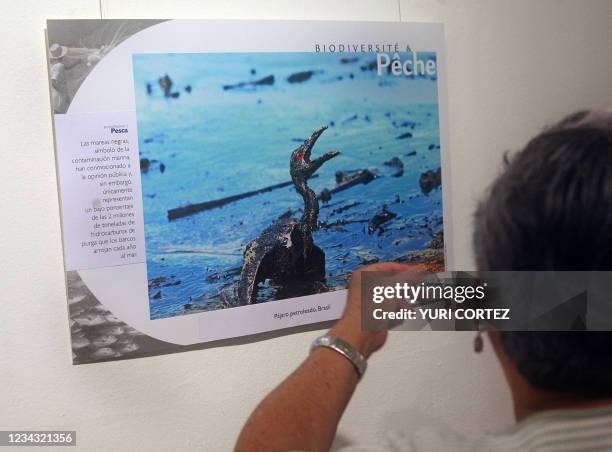 Un mujer observa una fotografia el 11 de julio de 2007 de la muestra "Humanidad y biodiversidad, nuestras vidas están unidas" en el Museo Nacional en...