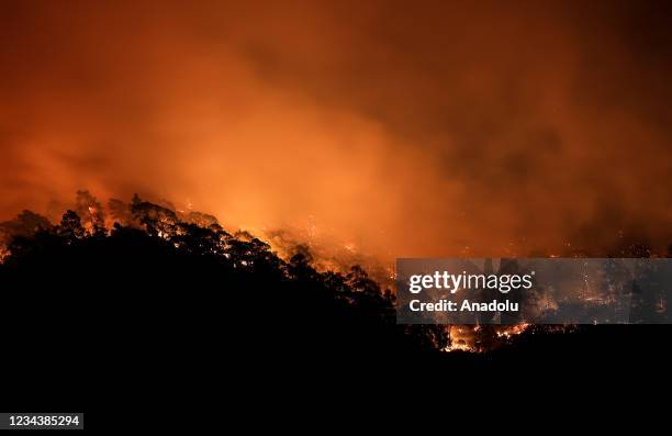 Smoke rises as fight against forest fires broke out in Marmaris district of Mugla continue with ground and aerial extinguishing operations on August...