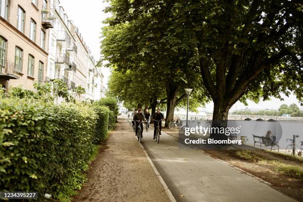 An avenue of mature trees on the edge of a Lake in Copenhagen, Denmark, on Thursday, July 1, 2021. Campaigns to plant millions of trees have become...