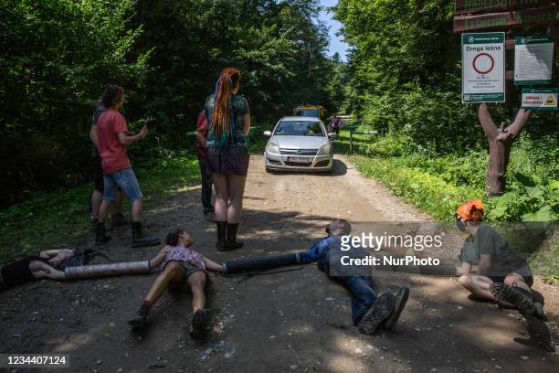 Environmental activists face aggressive drivers who carry wood during their protest against deforestation on a dust road which enters Turnicki forest...