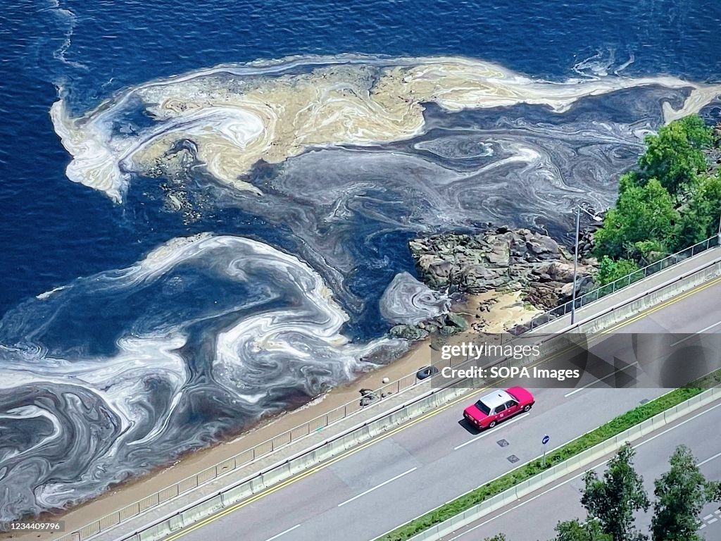 Red tide is spotted at Castle Peak Road in Tuen Mun.
Red...