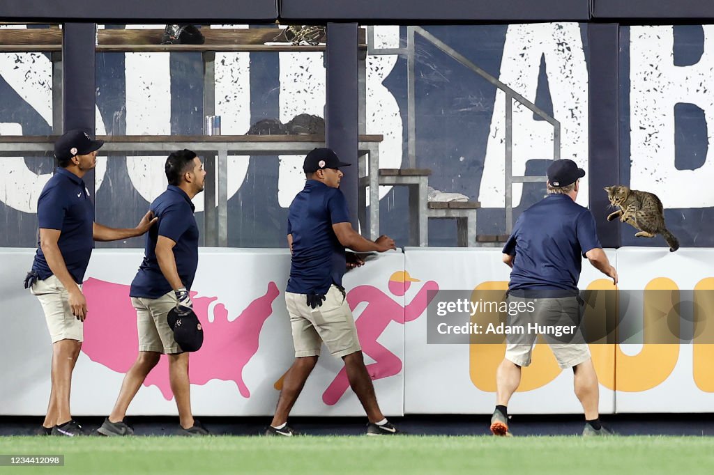 Baltimore Orioles v New York Yankees