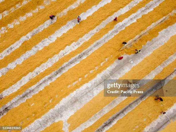 Patterns In Rice Field Rice Field Pattern Photos and Premium High Res Pictures - Getty Images