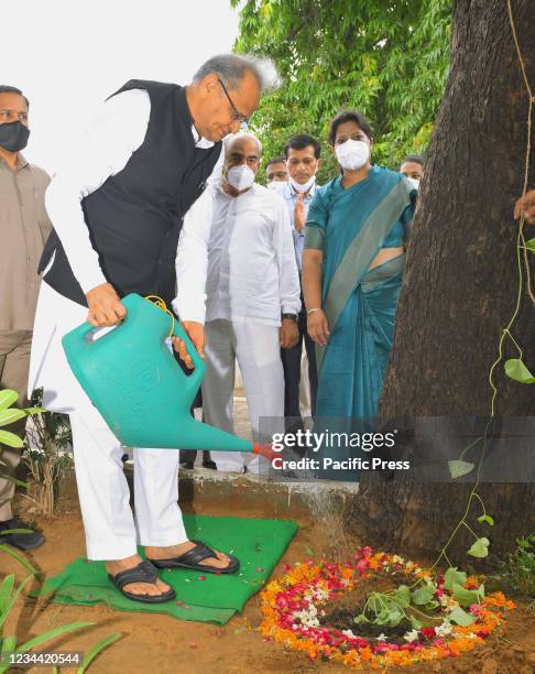 Chief Minister Ashok Gehlot waters a medicinal plant. Chief Minister Ashok Gehlot launches door-to-door medicinal plants distribution scheme in...