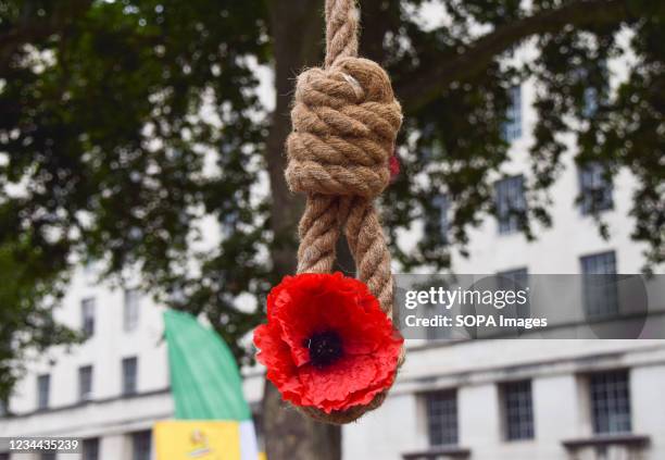 Noose with a red poppy flower is seen during the Iran protest. Members of the Anglo-Iranian community and supporters of the National Council of...