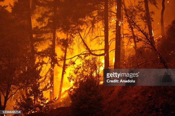 Fire burned along both sides of Highway 299 in the Shasta-Trinity National Forest after a forest fire breaks out near Redding, California, United...