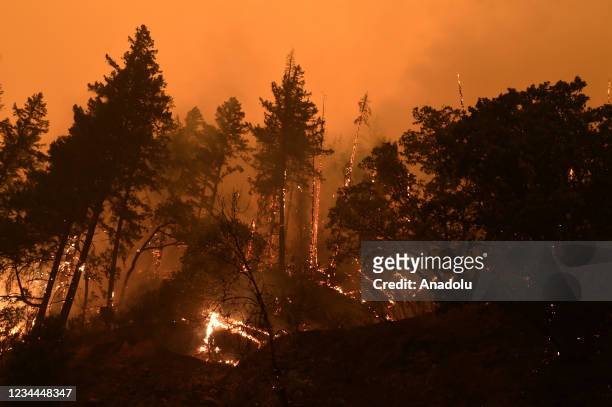 Fire burned along both sides of Highway 299 in the Shasta-Trinity National Forest after a forest fire breaks out near Redding, California, United...