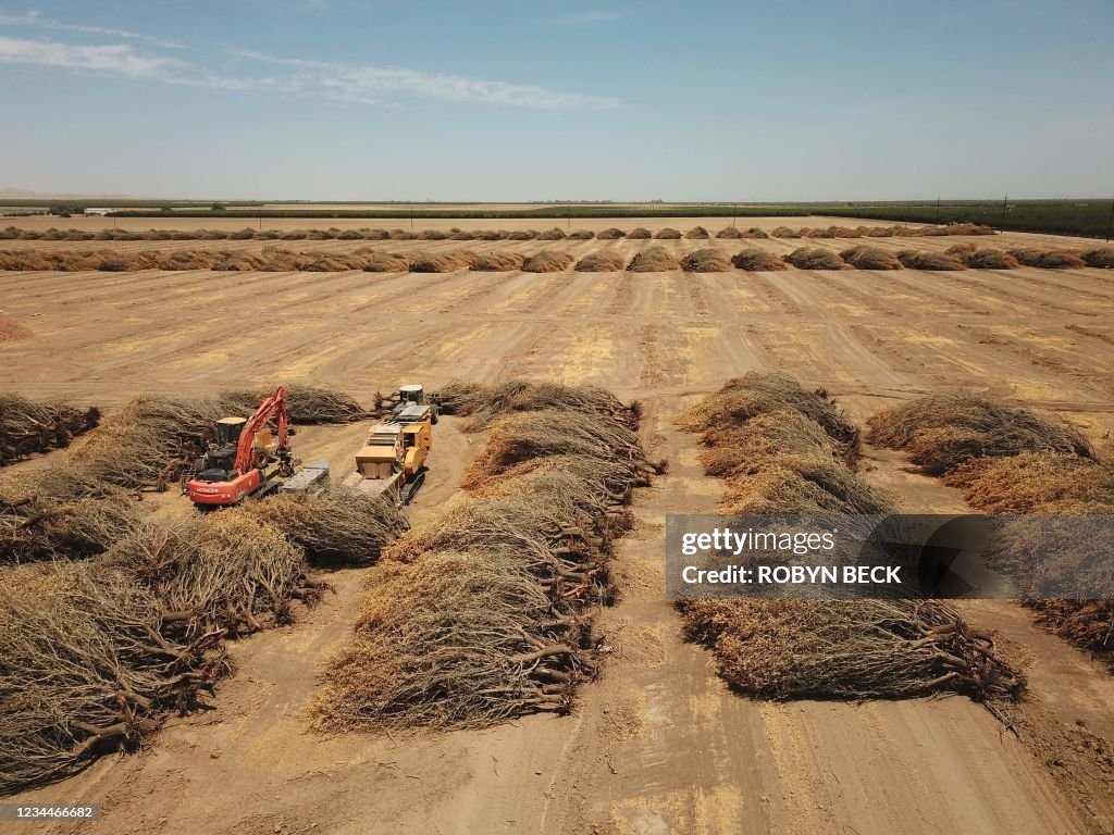 US-agriculture-drought-climate-ALMONDS