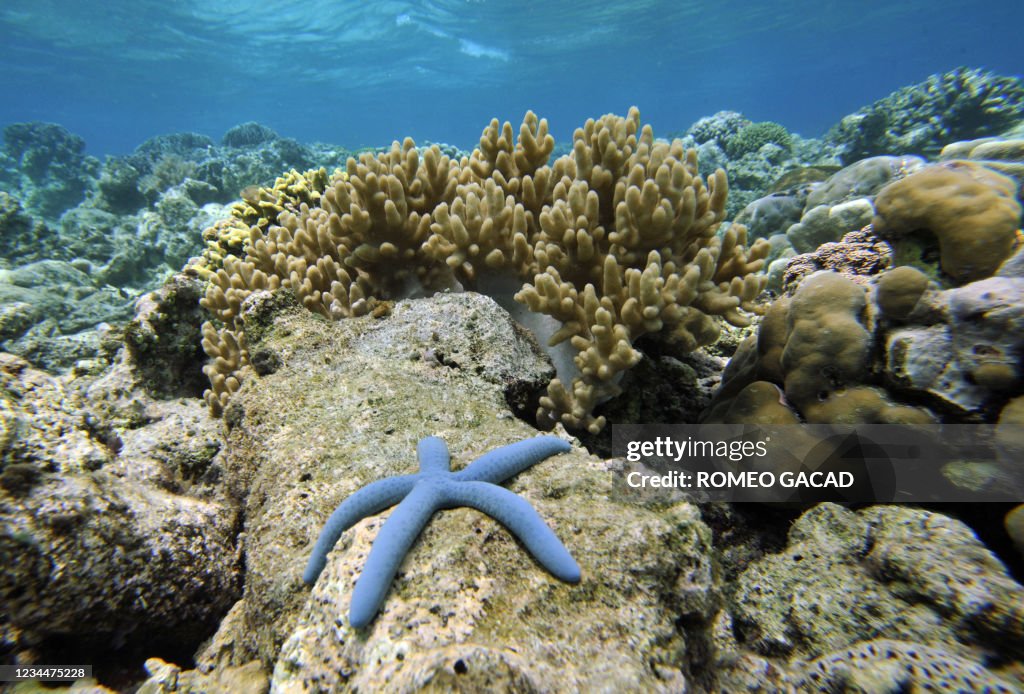 INDONESIA-ENVIRONMENT-OCEANS-CLIMATE