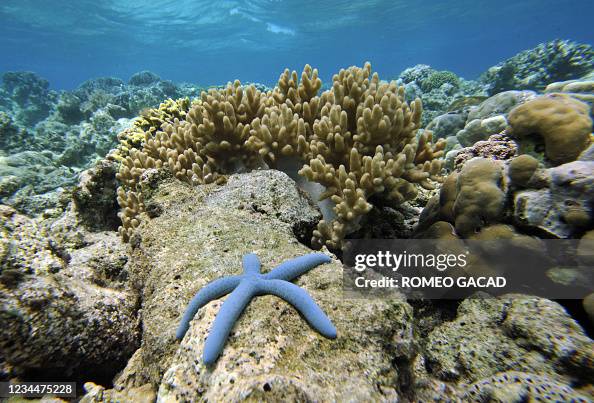 INDONESIA-ENVIRONMENT-OCEANS-CLIMATE INDONESIA-ENVIRONMENT-OCEANS-CLIMATE