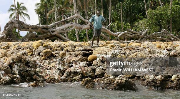 Villager looks over the coral reef, 07 April 2007, which was exposed by the force of the 8.0 magnitude earthquake which lifted the Solomons' island...