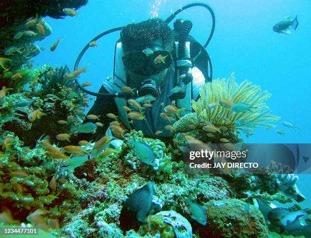 Local dive master Joel Pandino shows coral reef formation, one of the nine popular dive site where he brings divers mostly from Korea and Taiwan, in...