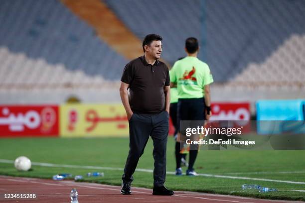 Amir Ghalenoei Photos and Premium High Res Pictures Getty Images