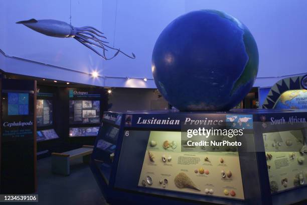 Bailey-Mathews Shell Museum on Sanibel Island, Florida, USA, on August 24, 2012.
