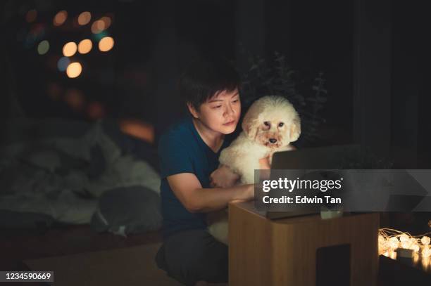 un adulto medio cinese asiatico che naviga in rete usando il laptop di notte nell'appartamento vicino alla finestra con vista sul paesaggio urbano con cane da compagnia giocattolo - different types of dogs foto e immagini stock