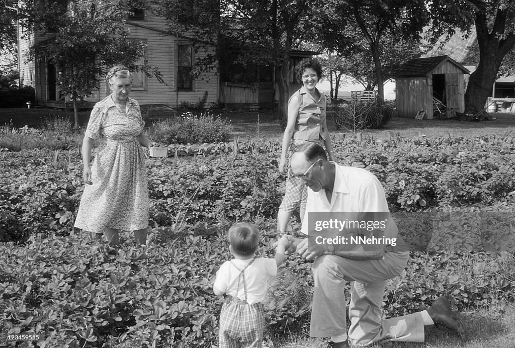 Familia retiro fresas 1960, retro