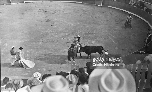 corrida 1949 - corrida foto e immagini stock