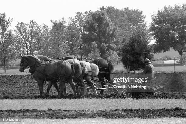 proyecto de caballos disking - campo arado fotografías e imágenes de stock