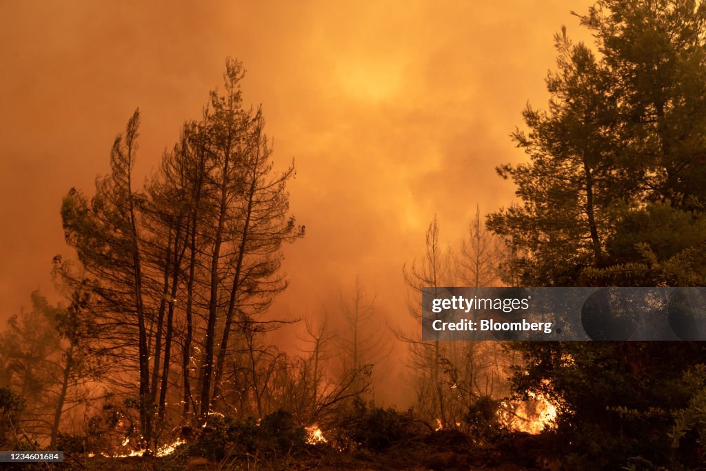 Wildfires Continue To Burn On Evia Island