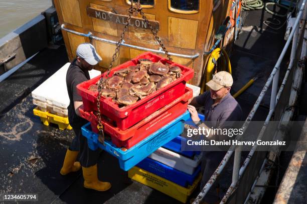 Shellfish Fisher Daniel Fisher Photos and Premium High Res Pictures - Getty Images