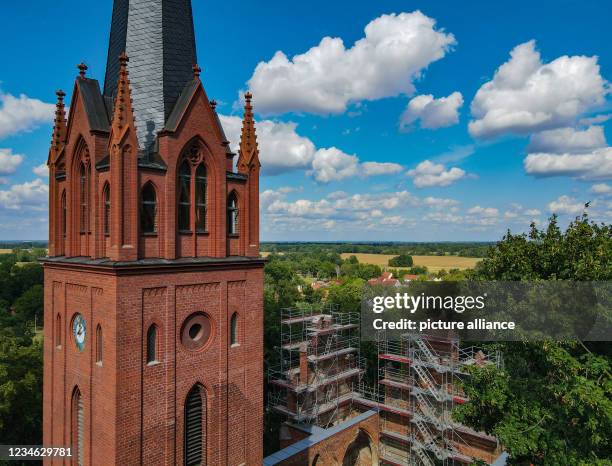 August 2021, Brandenburg, Reitwein: Between the trees at the Reitweiner Sporn, a striking wooded ridge also called Reitweiner Nase, the church of...