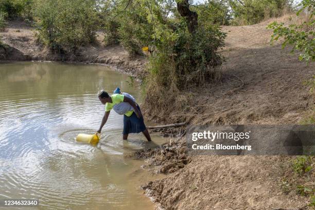 Local resident collects water from a man-made pond to use for a vegetable garden in Mbire, Zimbabwe, on Thursday, May 13, 2021. In the...