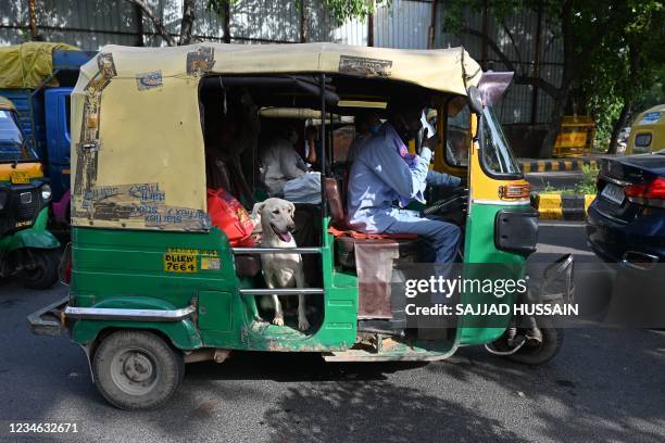 Man travels along with his dog in an auto rickshaw through a street in New Delhi on August 12, 2021.