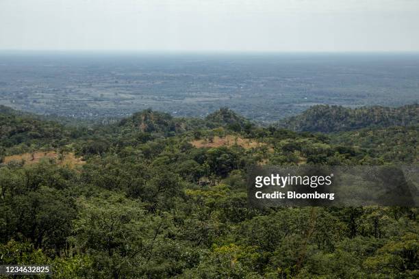 Forest conservation project area in Mbire, Zimbabwe, on Saturday, May 15, 2021. In the complicated new math of climate solutions, villagers clearing...