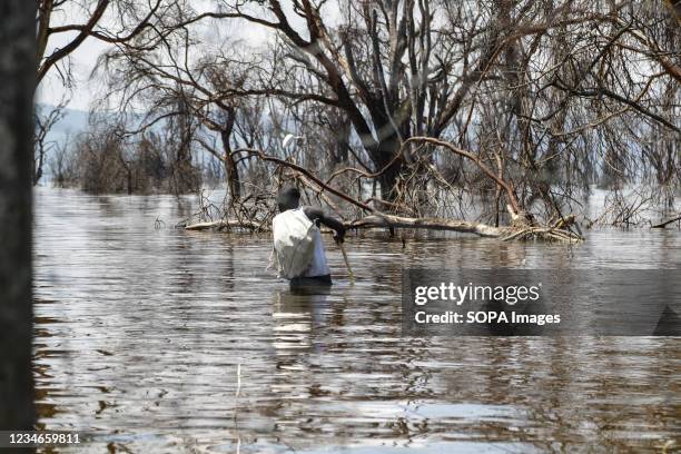 Fisherman walking through a flooded section of Lake Nakuru carrying a sack on his back. Fishing is outlawed on the lake but despite that, fishermen...