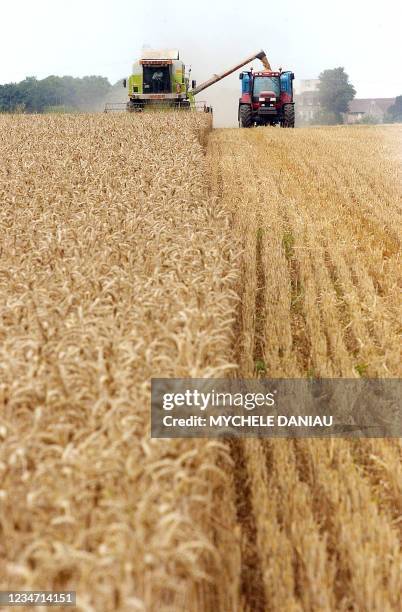 Un agriculteur moissonne un champs de blé, le 19 juillet 2006 à Giberville. Le prix du blé, dopé par la "canicule", continue à grimper, dans un...