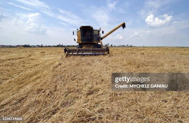 Un agriculteur moissonne un champs d'orge, le 19 juillet 2006 à Giberville. Le prix du blé, dopé par la "canicule", continue à grimper, dans un...