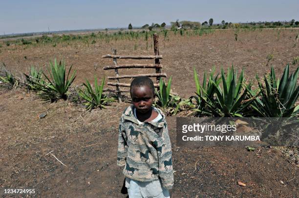 Francois AUSSEILL A Kenyan child stands in front of a field which was planted with maize and potatoe seedlings but did not yield any crop due to lack...