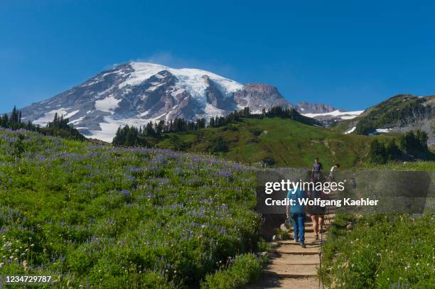 Hikers on the Skyline Trail with Mount Rainier at Paradise in Mt. Rainier National Park in Washington State, USA.