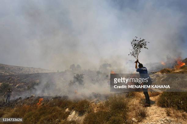 Palestinian man tries to put out a fire set by Jewish settlers to Palestinian fields outside the village of Hawara and the Yitzhar settlement in the...