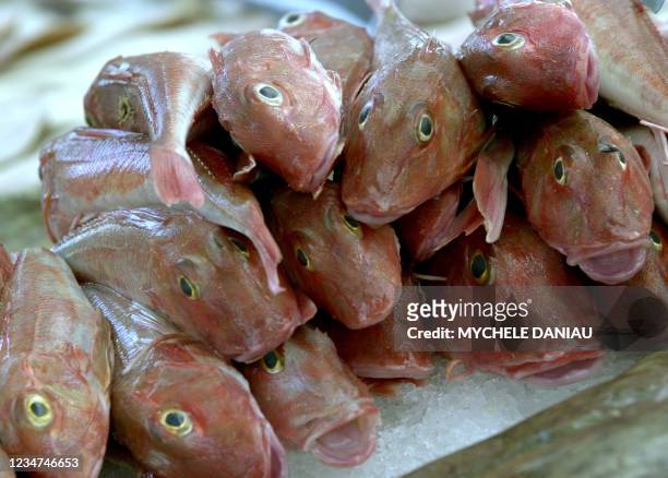Photo prise le 12 août 2004 de rougets grondins sur le petit marché du port de Courseulles-sur-Mer qui attire de nombreux vacanciers venus acheter du...