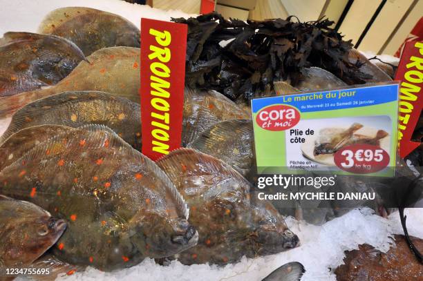 Photo de plies prise le 23 janvier 2008 dans une poissonnerie d'une grande surface à Rots. Les distributeurs français vont "déposer une plainte à...