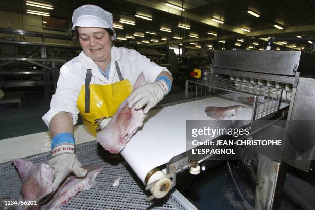 Une personne travaille, le 06 mai 2009 à Saint-Pierre, sur une chaîne de l'une des dernières usines de traitement de poisson de...