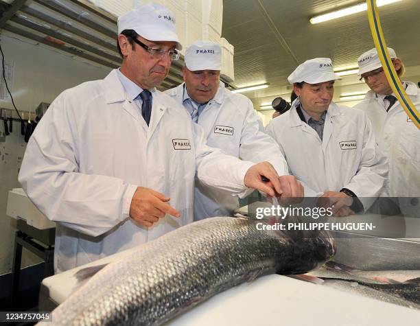 François Hollande visite une entreprise de transformation du poisson, le 01 Avril 2011 au port de pêche de Boulogne-sur-Mer à l'occasion de son...