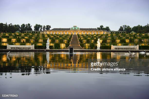 August 2021, Brandenburg, Potsdam: Sanssouci Palace is reflected in the morning in the water of the fountain on the main avenue at the foot of the...