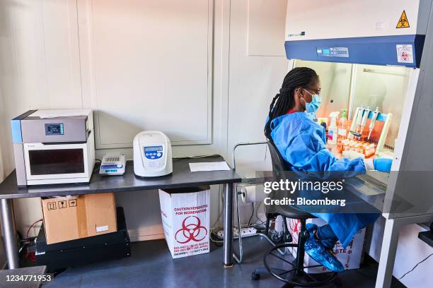 Labotomy Pcr 1,620 Pcr Testing Lab Stock Photos, High-Res Pictures, and Images ...