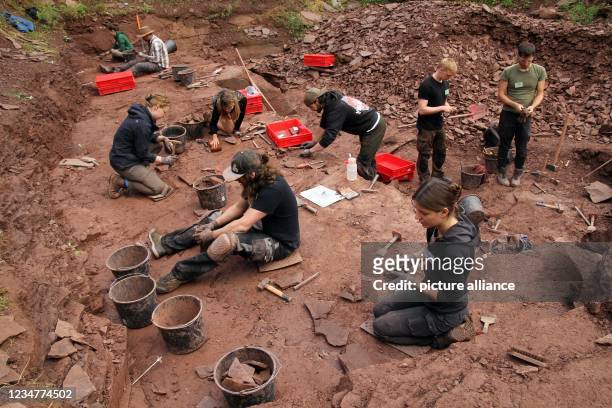 August 2021, Thuringia, Georgenthal: A team of paleontologists and geologists digs at the Bromacker between Tambach-Dietharz and Georgenthal. During...