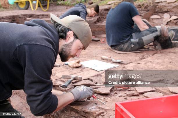 August 2021, Thuringia, Georgenthal: Preparator Moritz Maier from the Museum für Naturkunde Berlin works with other paleontologists and geologists at...